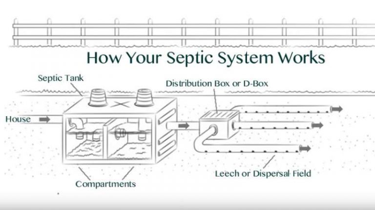 How Does Your Septic System Actually Work?